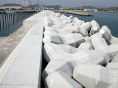 兵庫県 妻鹿漁港