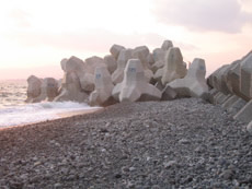 静岡県 富士海岸