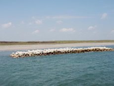 静岡県 篠原海岸