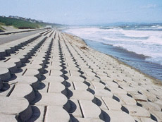 Ibaraki Prefecture Tamada Coast