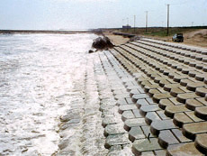 Chiba Prefecture Node Coast